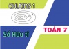 Các dạng toán về số hữu tỉ và bài tập vận dụng - Toán lớp 7